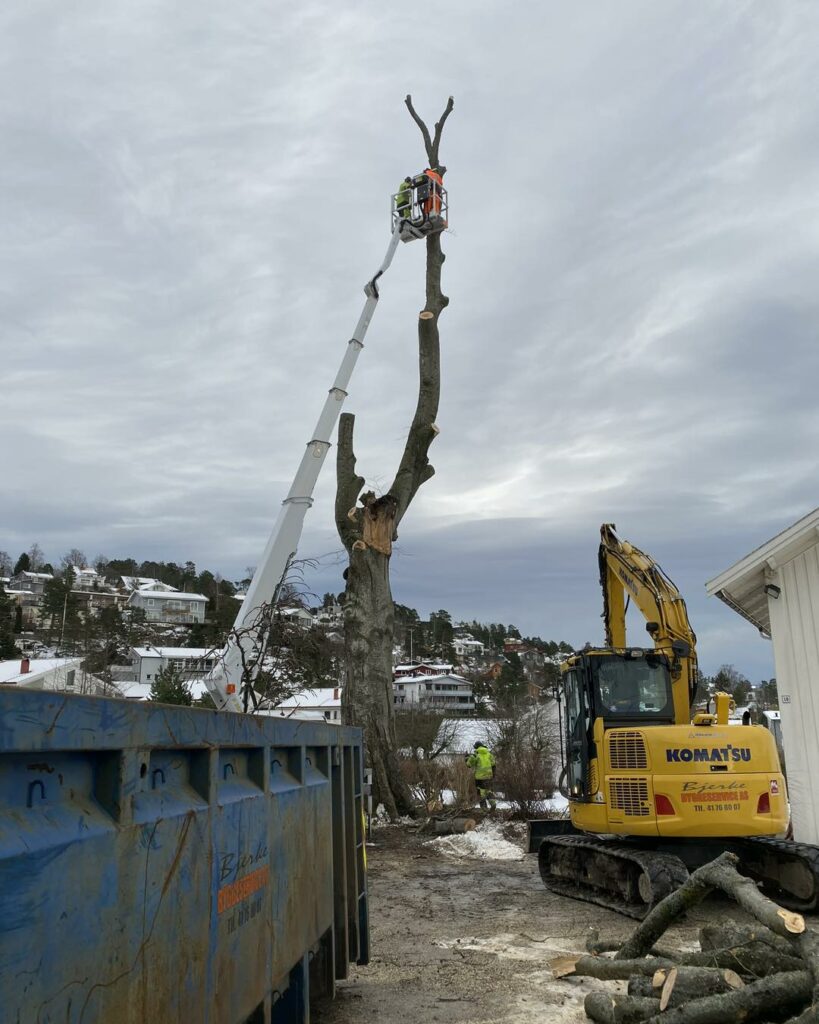 556949260_1485485549641823_4293198077581531872_n